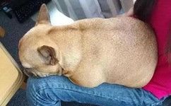 韩国电影甜性涩爱